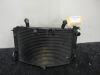 Radiator Yamaha YZF R1