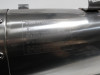 Muffler Triumph Tiger 1050