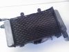 Radiator Honda VFR 800 I