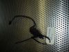 side stand switch Kawasaki GPX 600