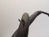 Brake hose front Kawasaki VN 1500