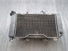 Kuhler Yamaha TDM