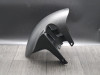 Front fender Aprilia Tuono V4
