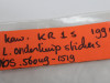 Sticker Kawasaki KR-1S