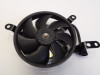 Fan Yamaha YZF R1