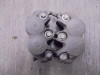 Bremssattel Bremszangen vorne Honda NT 1100 DCT
