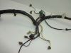 Wire Harness Kawasaki ER 5