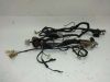 Wire Harness Honda CBX 550 F2