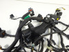 Wire Harness Ducati monster 796