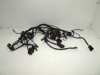 Wire Harness Ducati monster 600