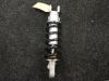 Stossdampfer hinten Yamaha MT 09
