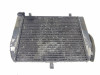 Radiator Yamaha YZF R6