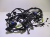 Wire Harness Kawasaki Z 800