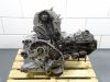 Engine Ducati monster 600