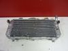 Radiator Yamaha FZR 600