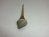 Engine parts Honda CB 250 N