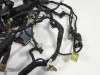 Wire Harness Ducati monster 796