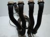 Downpipes Honda CBR Fireblade