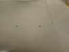 Wind screen Kawasaki GPZ 1100