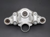 Kroonplaat BMW R 1250 GS