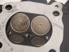 Cylinder head Harley Davidson Softtail