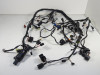 Wire Harness Kawasaki ZX 10 R