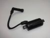 Bobine Kawasaki LTD 454