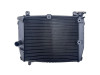 Radiateur Aprilia Tuono 660
