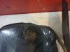 Achterspatbord Kawasaki ZZR 1400