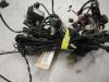 Wire Harness Aprilia RSV 1000