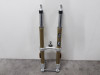 Front pipes complete BMW R 1250 RT