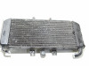 Kuhler Yamaha FAZER 600
