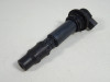 Ignition Coil Triumph Tiger 1050