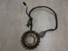 Dynamo Aprilia Tuono 660
