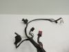 Wire Harness Honda CBR 1000 F