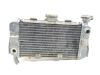 Radiator Honda VTR 250