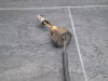 Brandstofniveaumeter Suzuki RF 900
