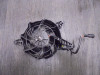 Fan BMW G 310 GS