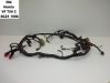 Kabelboom Honda VF 700  750 C Magna