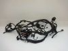 Wire Harness Kawasaki ER 6