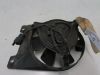 Fan Yamaha FZ 750