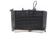 Radiateur Yamaha XJ 6 N