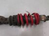 Stossdampfer hinten Honda CBR 600 F