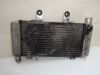 Radiator Honda VFR 800 I