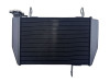 Radiateur Ducati Hypermotard 939