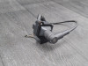 Zundspule BMW F 650 GS