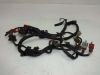 Wire Harness Honda CB 900