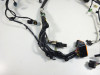 Wire Harness Kawasaki ER 6
