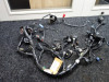Wire Harness Kawasaki Z 800