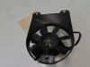 Fan Yamaha FZ 750